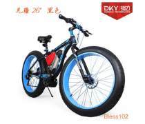 沙灘自行車產品庫