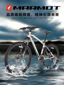 MARMOT土撥鼠單車 自行車文化是自行車產業(yè)發(fā)展強大動力
