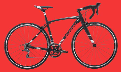 中國(guó)十大老牌自行車(chē)土撥鼠frw全世界碳纖維自行車(chē)品牌排行榜