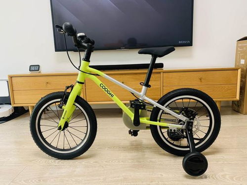 騎上它,你就是最靚的仔 酷騎f3兒童自行車評測