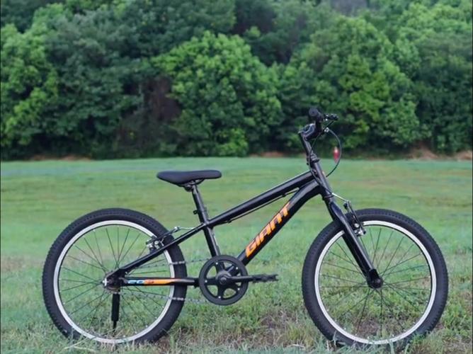 青少年自行車推薦:xtc 24系列,atx20-s