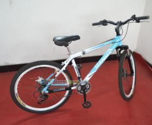 供應(yīng)26式自行車價格_供應(yīng)26式自行車廠家_世界工廠網(wǎng)產(chǎn)品信息庫